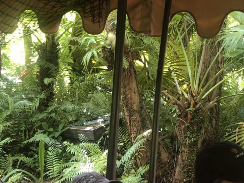 2fzvf%4tRLm08tsTMCiLPg