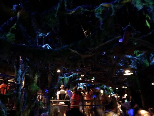 4LunrFVWTSqMK0vt8mgr7g