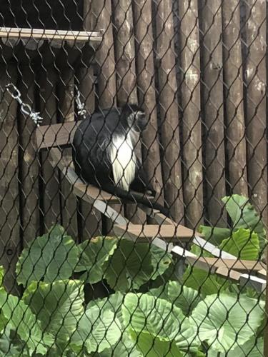 4U%9YttdTsGN3XsV+feanQ