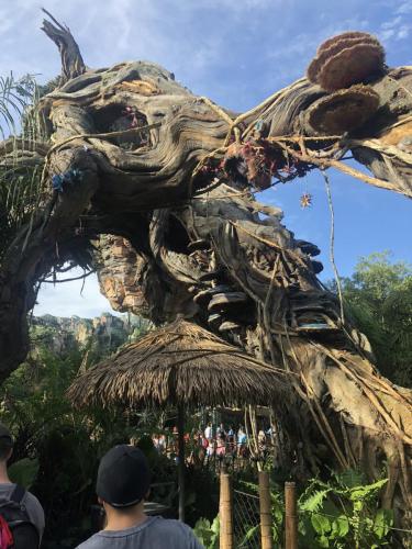 5GNSKHQFR8uQ18ok9eh1NA