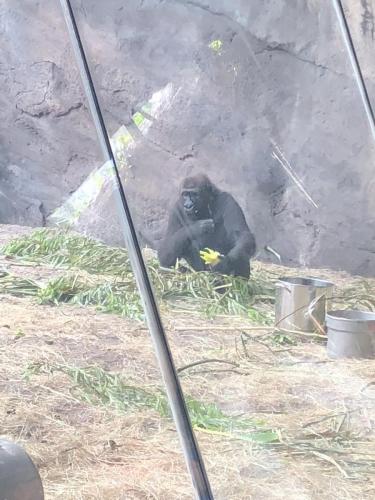 9KaOFk4BRKu5lPSip+8FvA