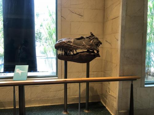 9f60cNgIRGy4QjhFiLXlsQ