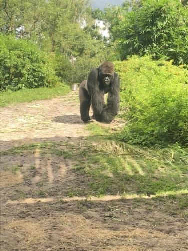 BSwW0NTgTamQBuBWd8xXvg