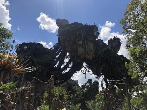 CWmOGBQDTBO%WGNHhtZEwg