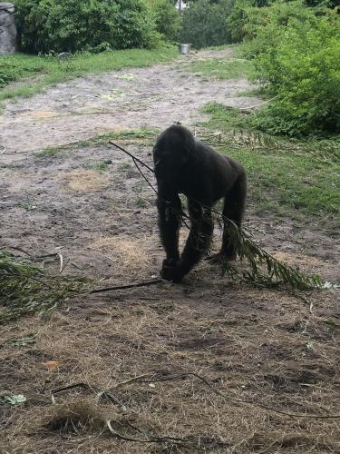 CYCtXExXRC2vmxKqVOlQUg