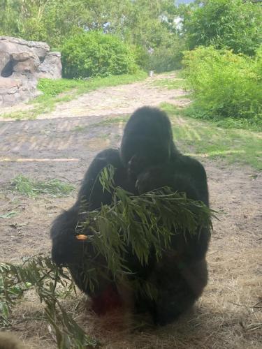 Cx6D7RjJTHqd1RzLSyI6bQ