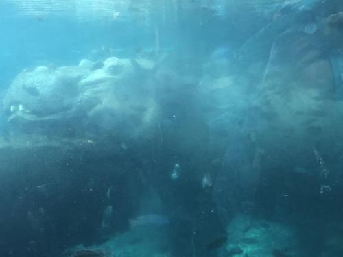 Drfo2cP+QiWeEwVkhtCNLw