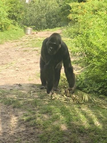 E9WqioU7QQSlF79tHdwhAg