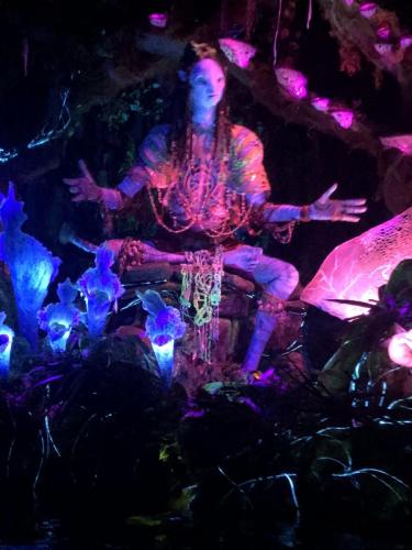 FXBwd1pmSkqTCcgwS24+Bg