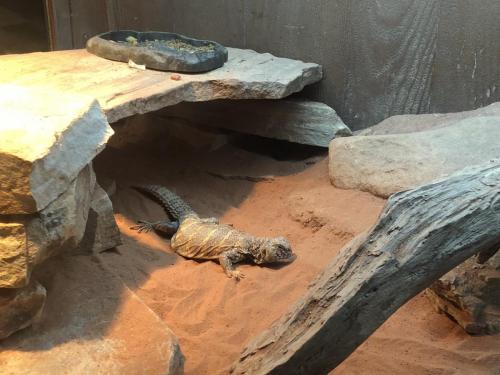 K6GrpMT6SzS3GNqhH0qTfg