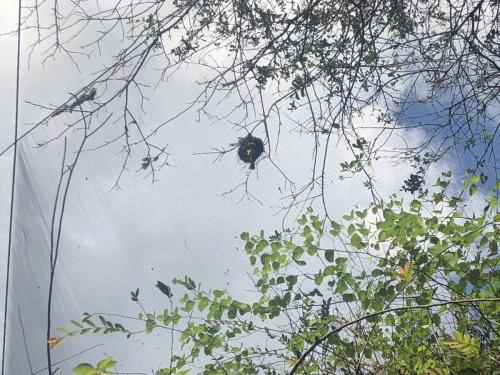 KUvHFhNESgCgLfVygRH2Cw