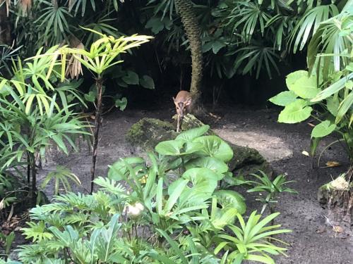 MsCPzAHUQhuKGgUHLf2GTA