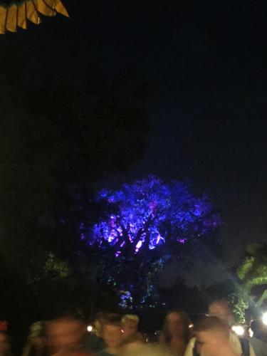 N7jL9MWQQdyvjgyurPiV8Q