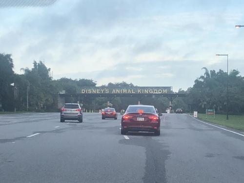 NcGDu5aoRXmriMs9DeZdYw