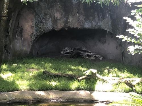 OwgaIqAqR3yi%YmBUzI3BQ