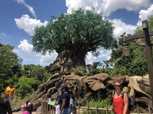 SWMwEPLRRSmVrzBE7sZv2A