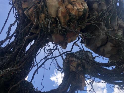 TaETxPp3SgScege9gYPosA