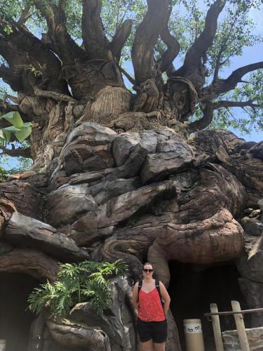 %%VMmik8T9ePcwPS6RSheQ