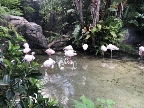 VeRO83AORTiFMBa8pdHpxw