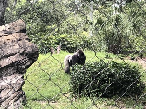 W3ZPDxTBQGaaano8eXOPSw