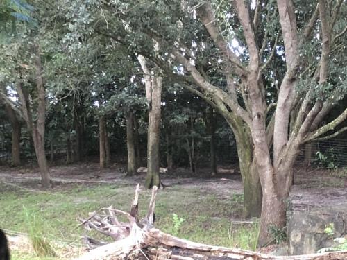 W+WHhHMzTdqmzSrbPYg3jQ