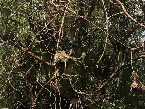 Y7s6FSl7RJaCJnHJHZtE5A