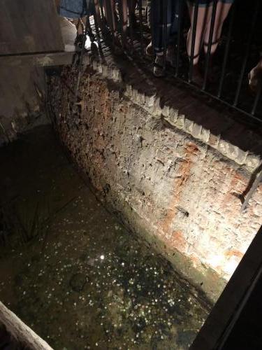 ZBNUdJleTnSIuRkncnm15w