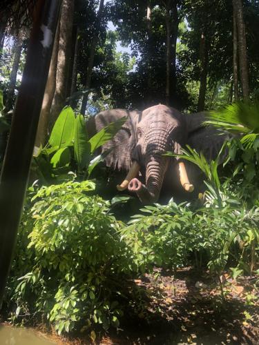 cmWk3S9RS0CQbQ8e8CKBtg