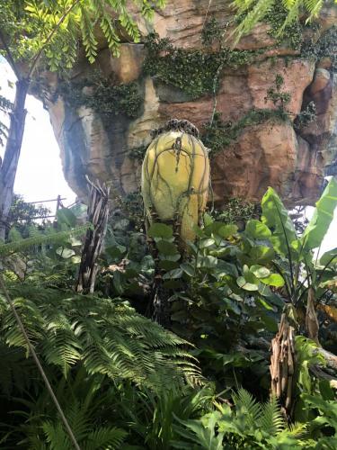 dJpMTl+5TrmOsHJ9VBQrAg