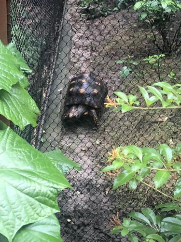 +ennACPGQZWB1FnXKpoGvQ