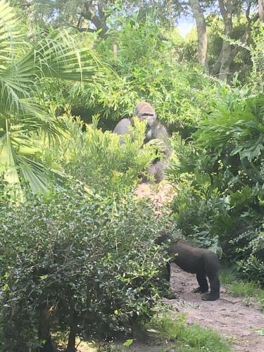 gOQ2oliBTWiyqndJT23MSA