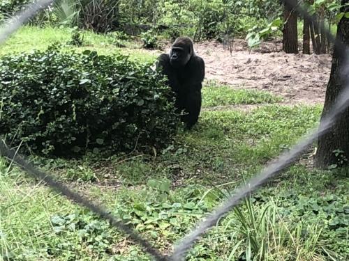 hgLdWLzNScGsRzY7b2uBoQ