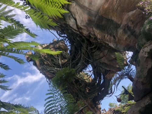 iHPoACEVSv6l8V37eg0rjA