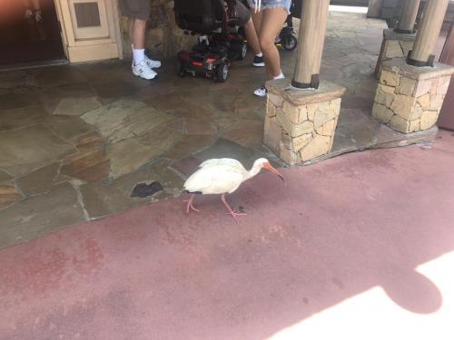 jOhvDredTIKdQgYwdI1qTw