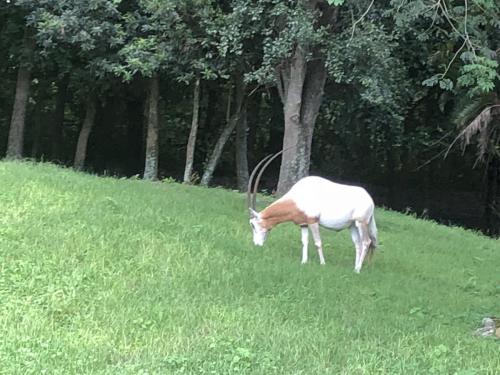 jPUYPKYSREyGT5PsPfyW9g