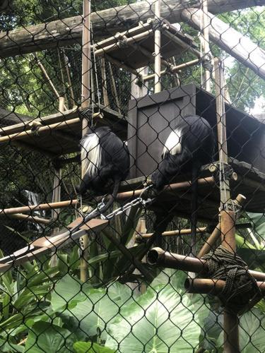 jq1QKRo1TXuc5NIj0kUnzw