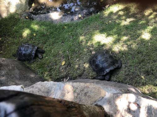 kErvJMRzQUyCZ7BpEWA6dA