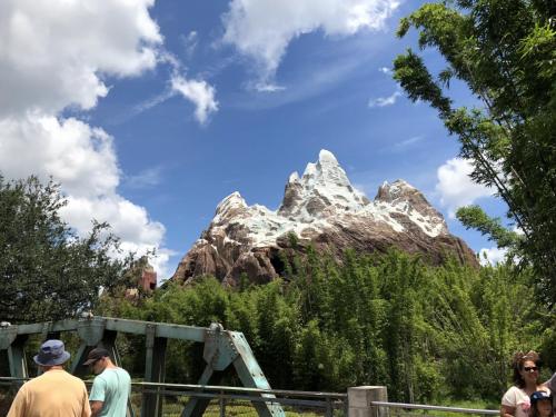 kmlPuK6yTECJrdenOM7hWw