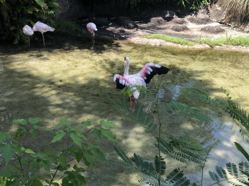 ks1Ks%cTSrSsMvCiM6ISmA