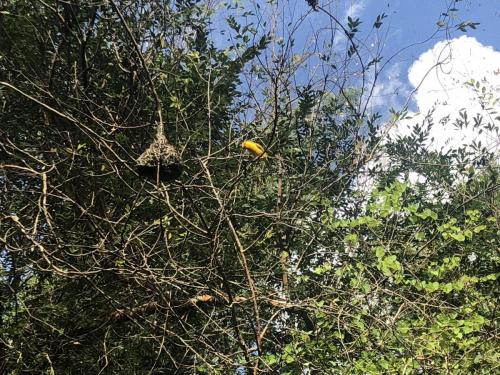 lO7oIFWfRJq11uSvtjfKEg