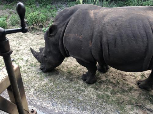 m+5QP4IdSoSVLhjsZNsL2A