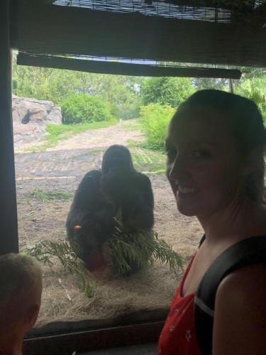 mQfP7mmsQpOatBPyPOpTow