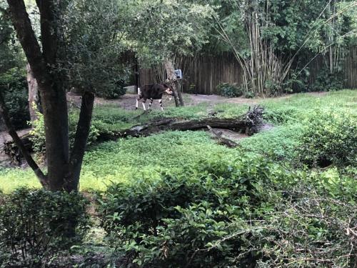 ms7UEjaBQVyoAZlOEjKVCw