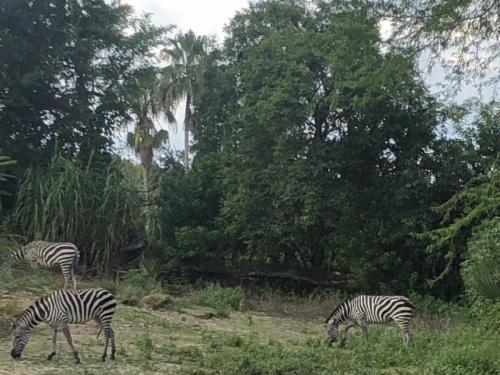 nMhwSJ%VTfmfB2%sTvftDg