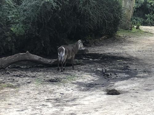 ptvp3LcKTye3dhEm%bpG2A