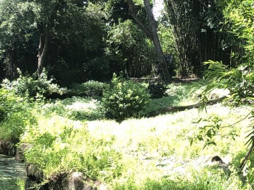 sEYI3gioRIGGK4bi%YXkpw