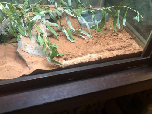 uCVzLiMSQL6CqnJhIyCCOA