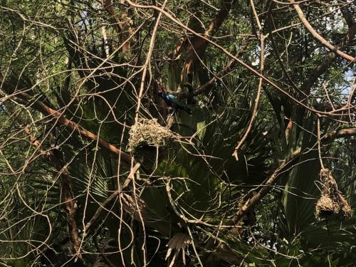 vJUfy7KWQ5uYCo+47tilnQ