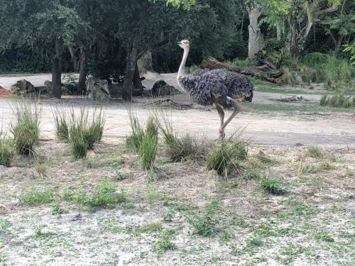 vXVqQXueSBiQjJOqXNKr0w