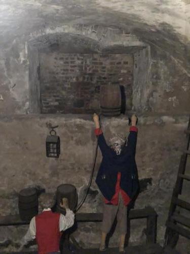 vo09ZPUzSB65OUhf8ZS+rw